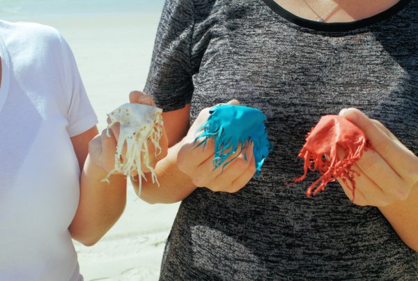 Plastic balloons break down slowly and pose a dager to wildlife.