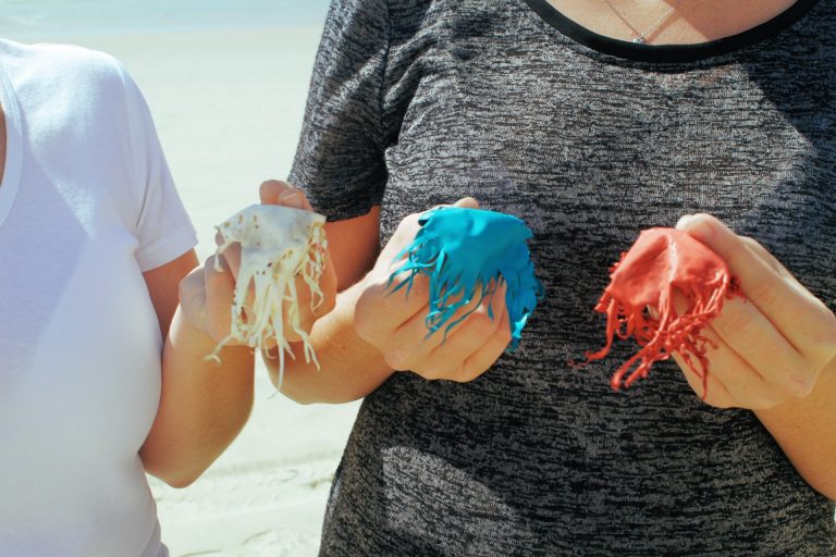 Plastic balloons break down slowly and pose a dager to wildlife.